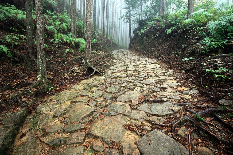 Kumano Kodo trail