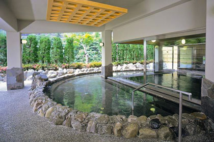 Outdoor hot spring bath