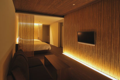 Sample modern style room