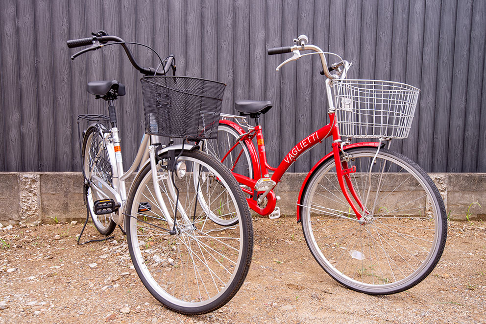 Rental Bicycle