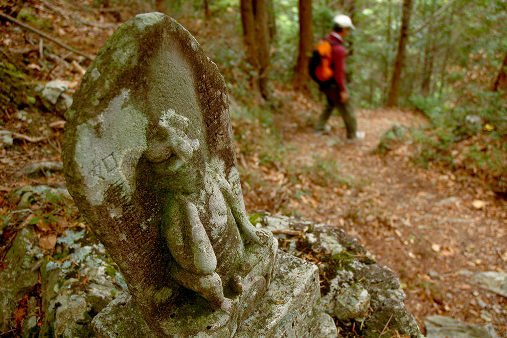 Kumano Kodo Kohechi