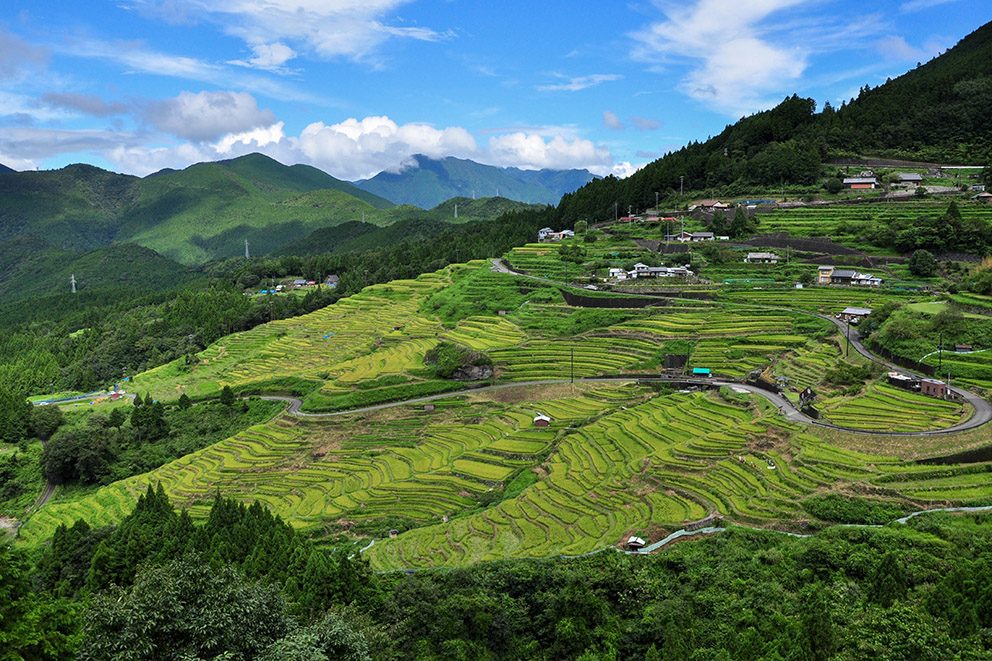 Maruyama Senmaida rice paddy fields