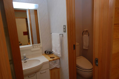 Ensuite toilet and sink