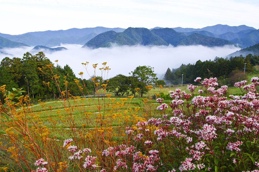 Takahara Settlement