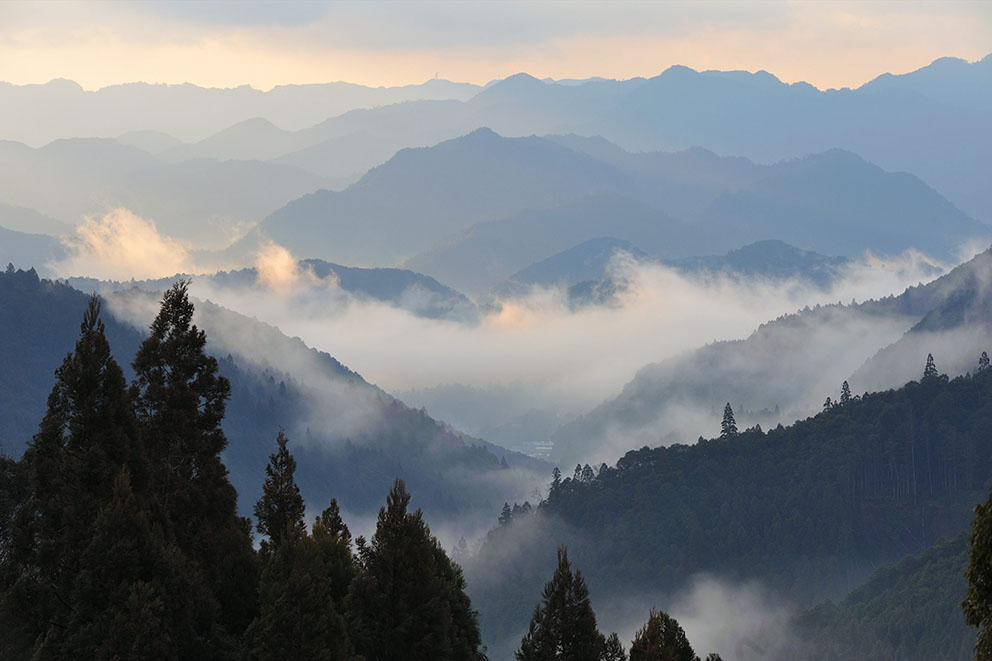 View from Fushiogami