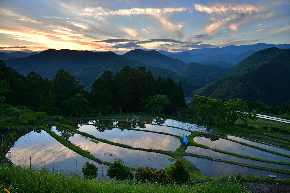 Takahara sunset