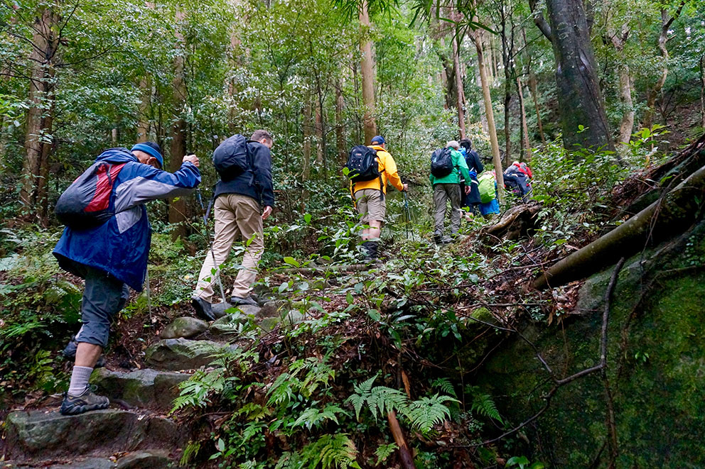 Guests on the trail