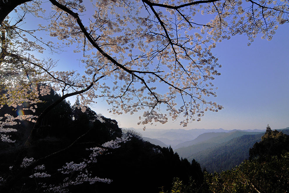 Lookout point from Fushiogami-oji