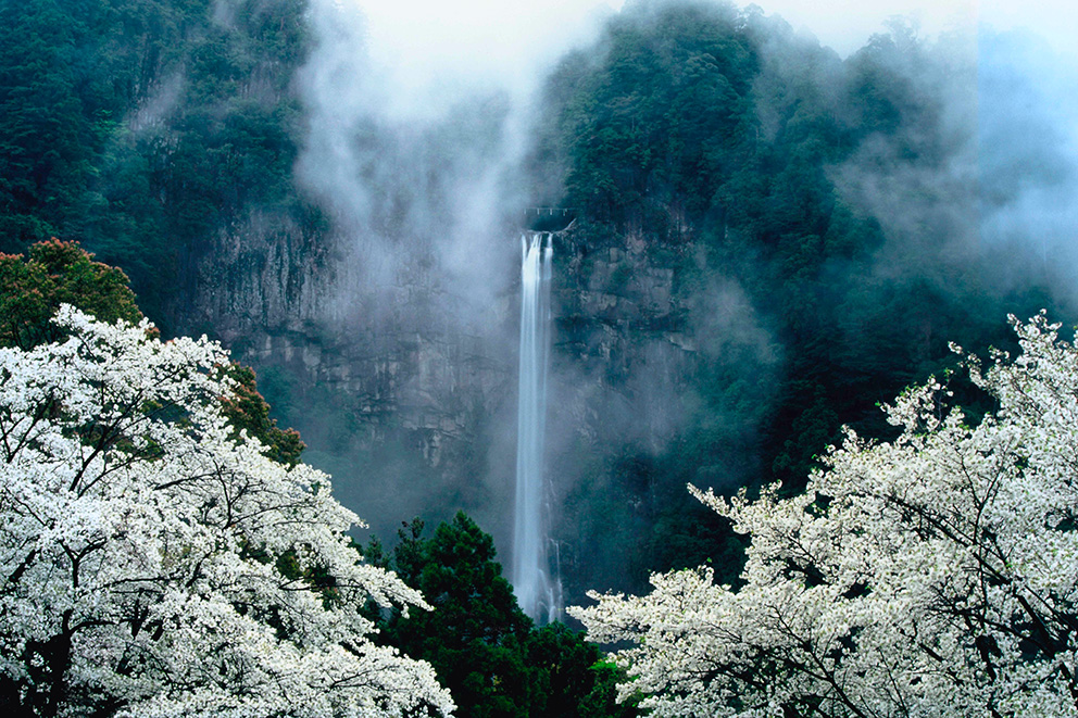 Nachi falls