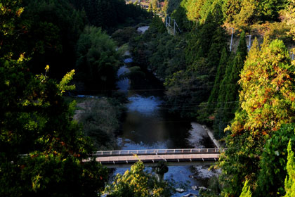 近隣の風景