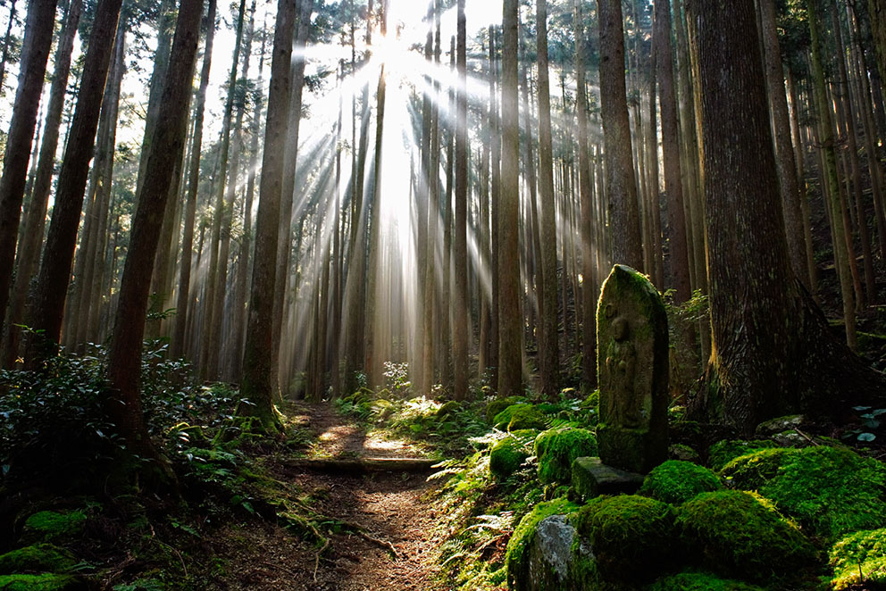 Kumano Kodo, Ogumotori-goe