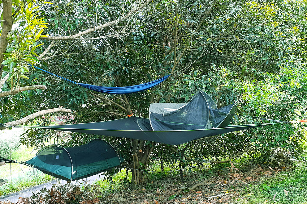 Tree hammocks