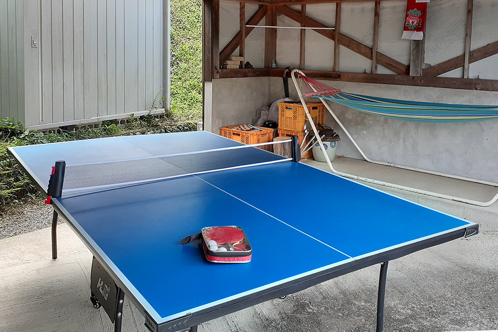 Ping pong table