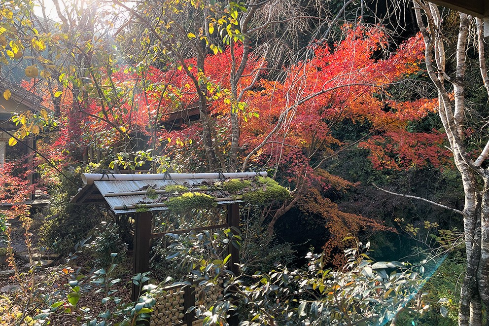 お宿からの眺め