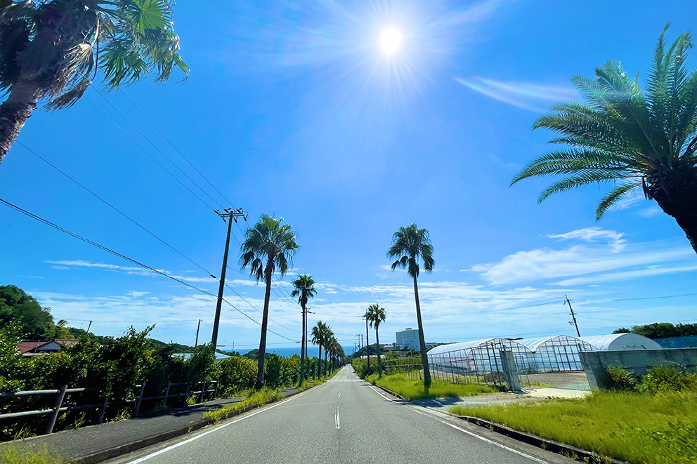 お宿周辺風景