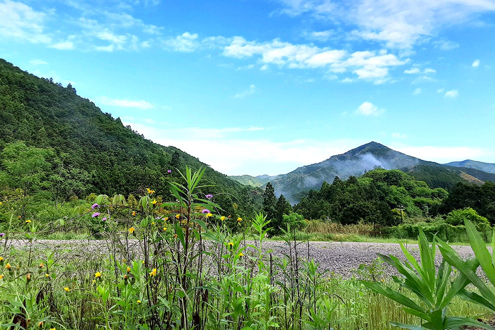 Outdoor view near the inn