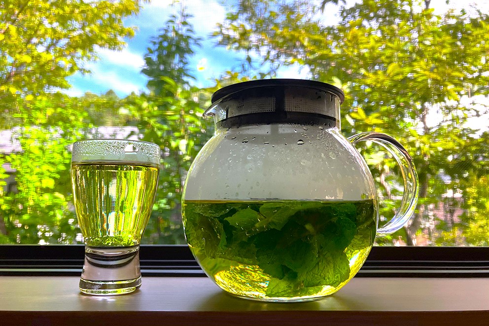 Homemade green tea