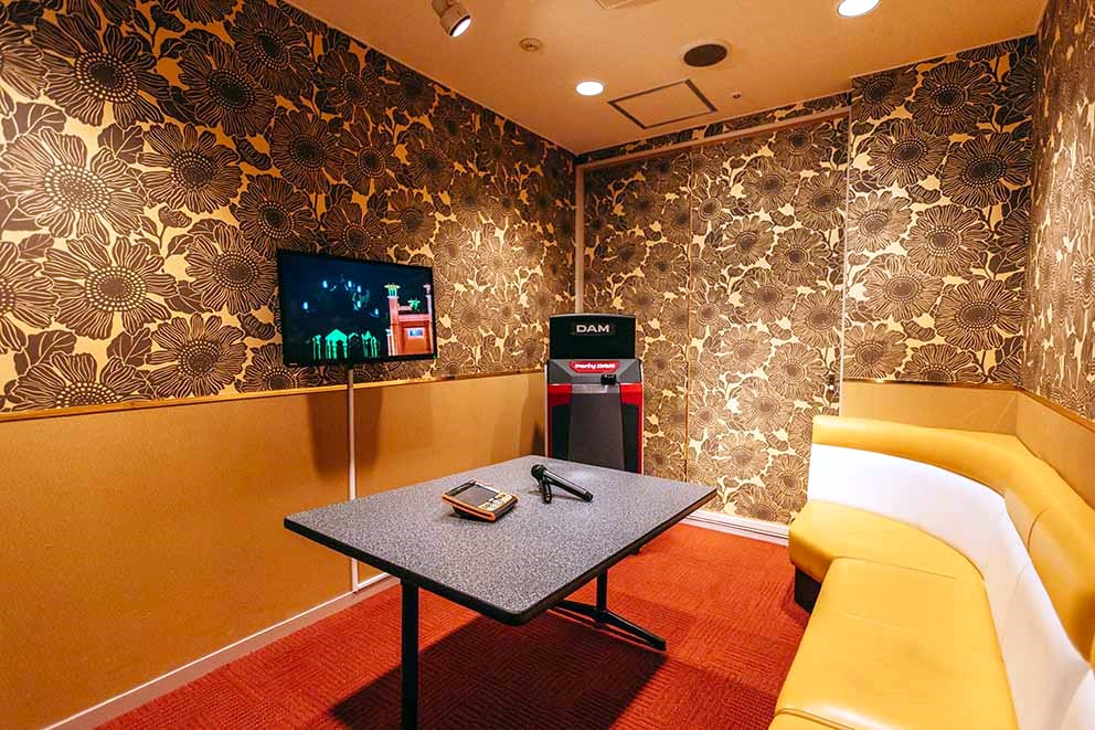 Karaoke (rental available for a fee)