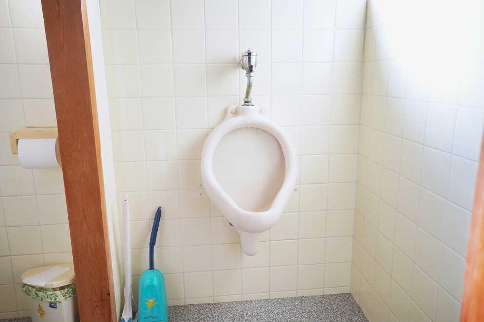 Main house toilet