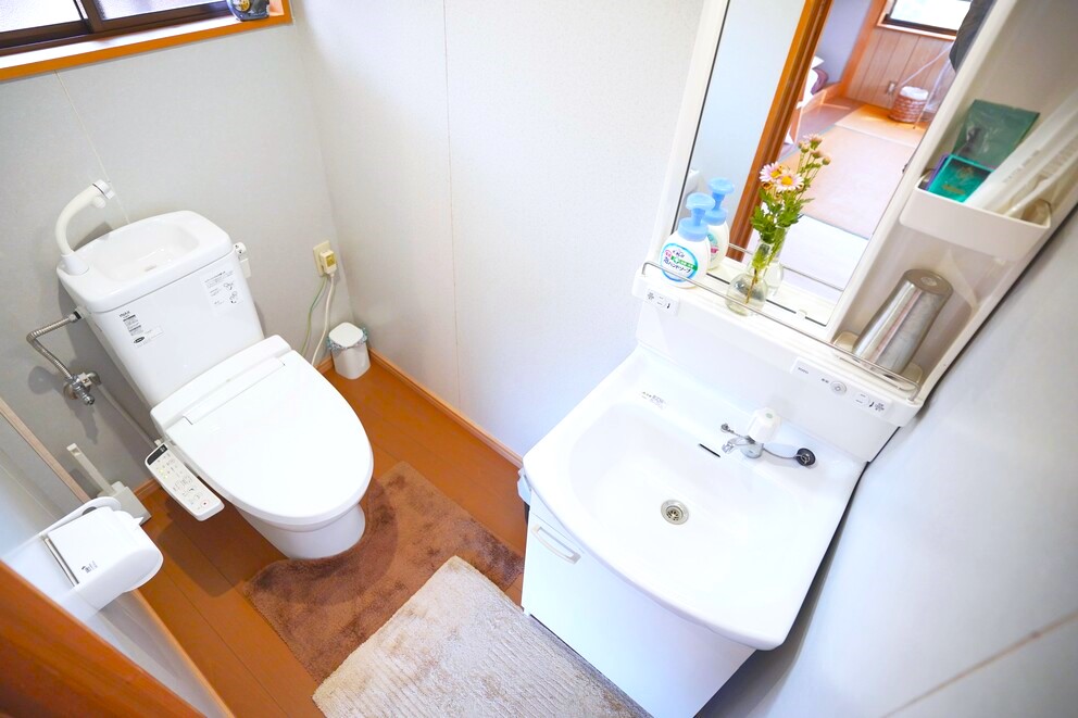 Guestroom toilet and sink