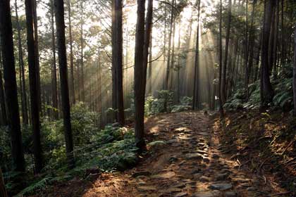 熊野古道