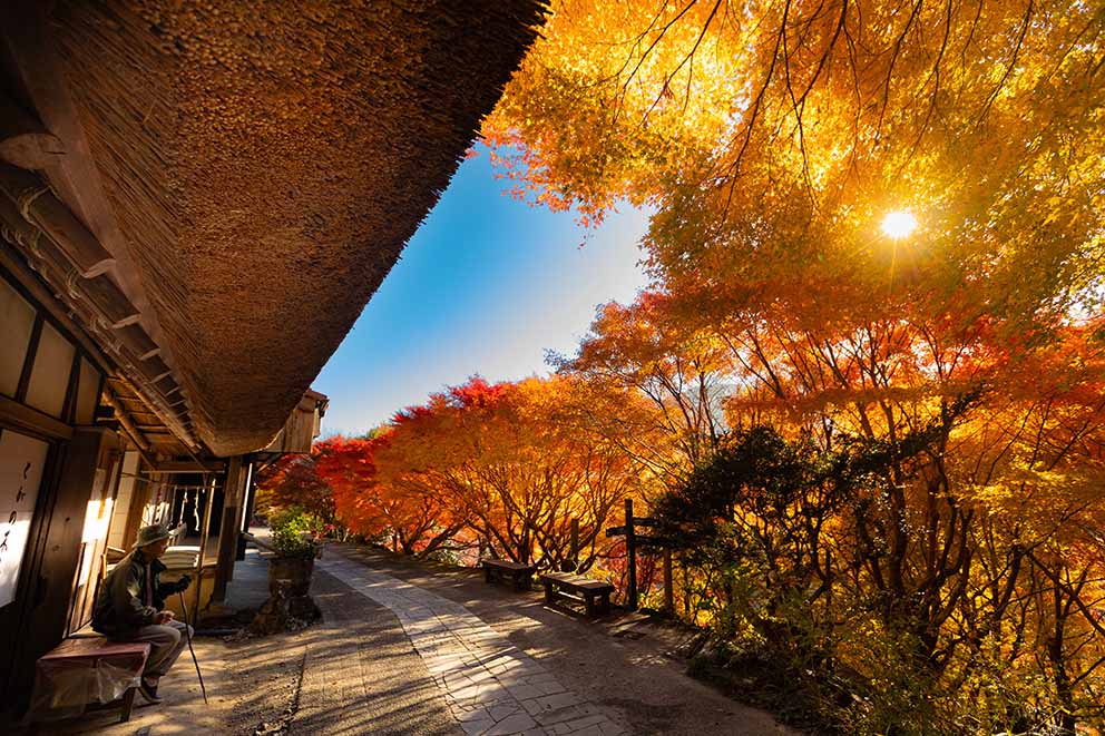 Toganoki-jaya teahouse