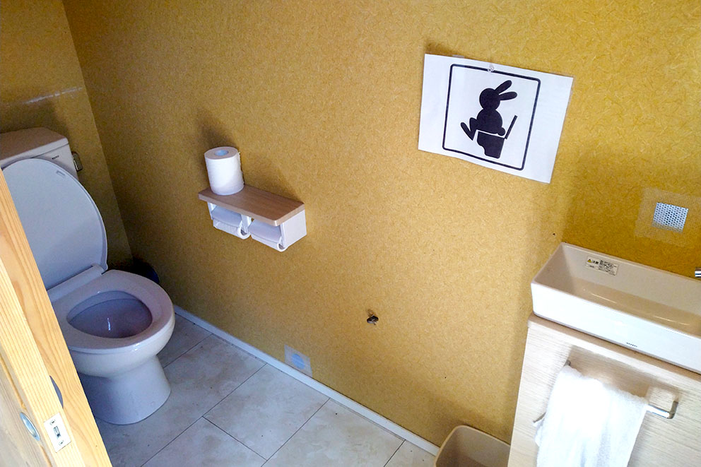 Toilet and sink