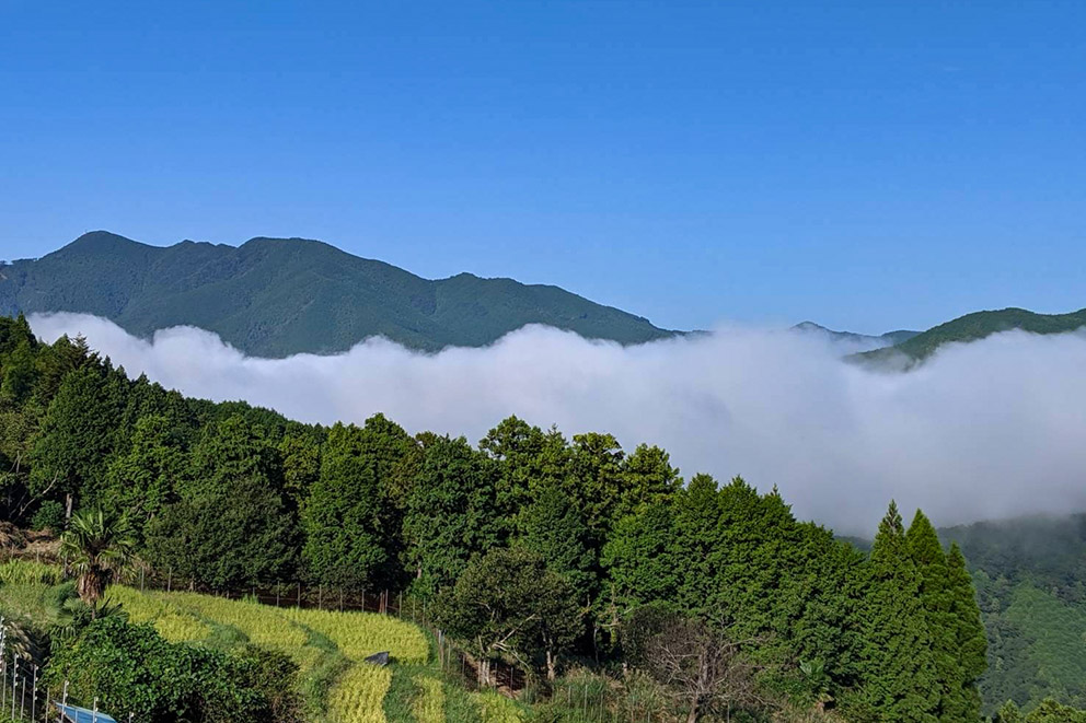 View from Takahara