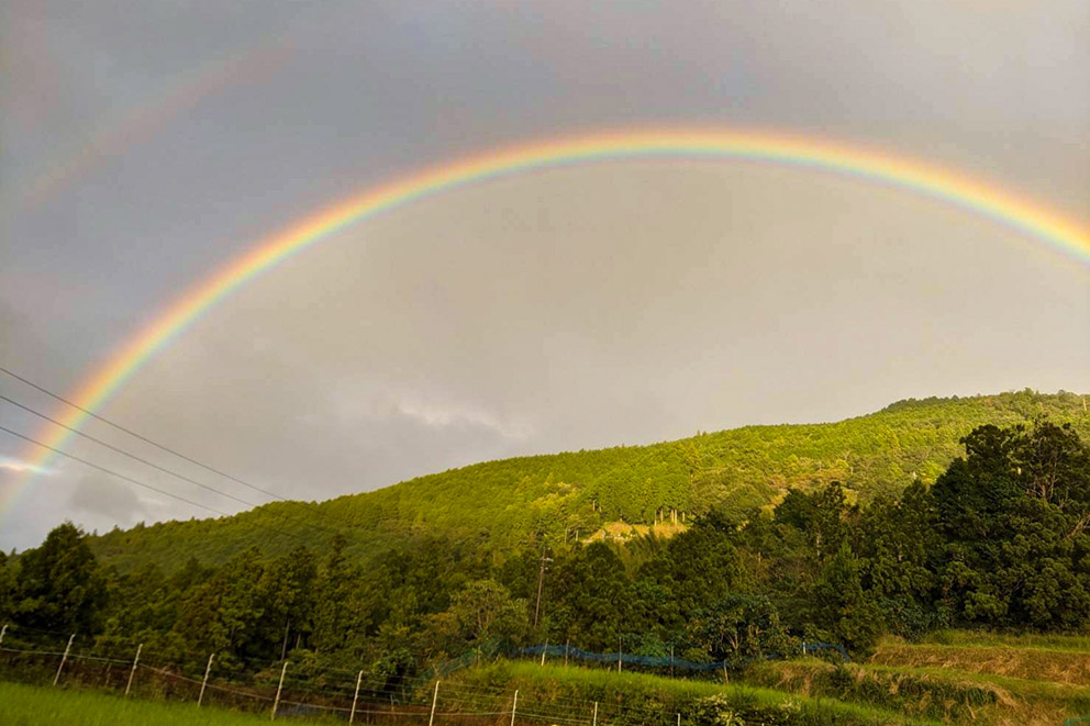 Rainbow