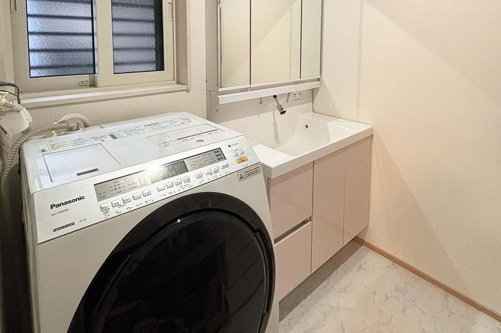 Washing machine and sink