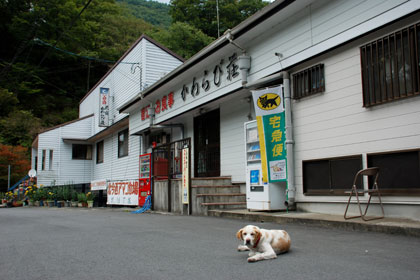 民宿かわらび荘　外観