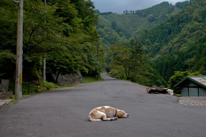 In front of Minshuku Kawarabi-so