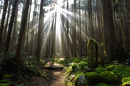 Kumano Kodo pilgrimage route