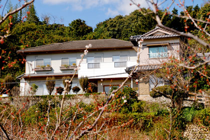 Kashiwagi Mikan Farm Stay