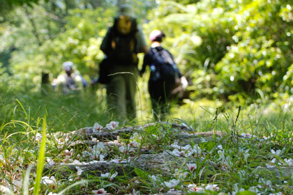 Kumano Kodo pilgrimage route Iseji