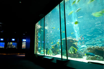 Aquarium