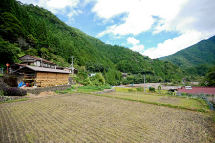 美しい田舎の風景