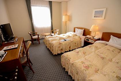 Sample twin room