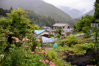 View from behind house