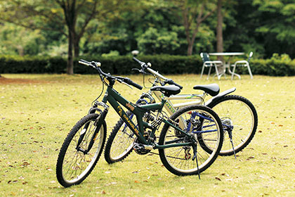 Free rental bicycles