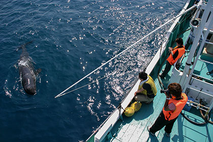 On the boat