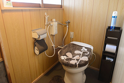 Sample toilet