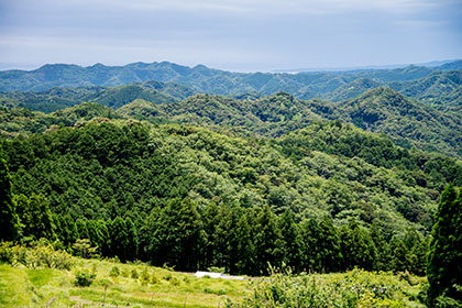 宿からの景色