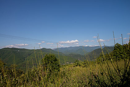 View from clearing near house