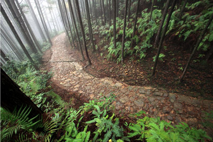 Kumano Kodo pilgrimage route