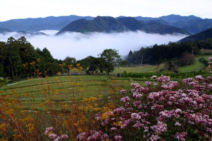 高原霧の里