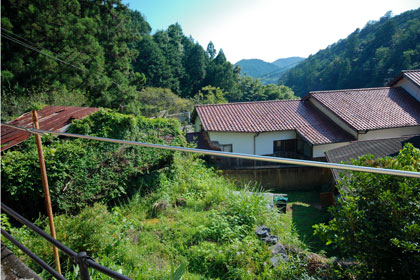 客室からの景色