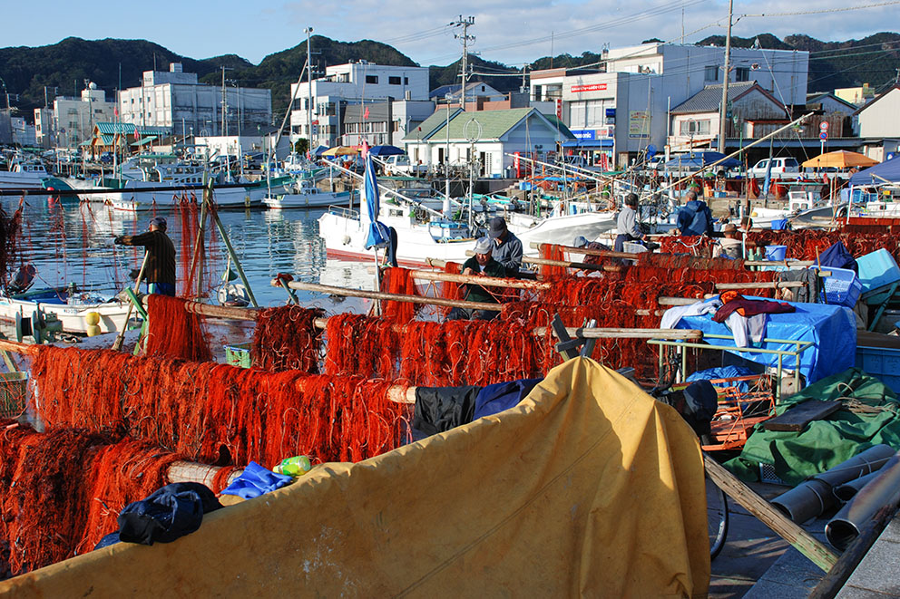 Katsuura Fishing Port