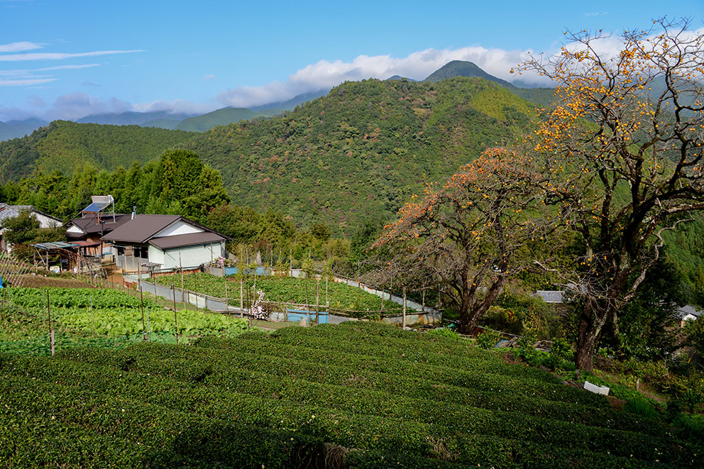 Fushiogami settlement