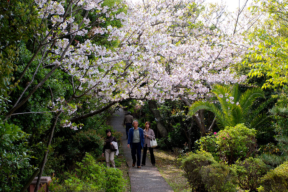 Walking course